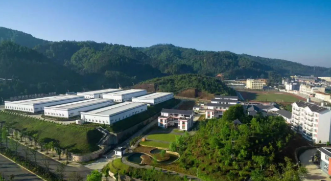 云南龍陵：黨建引領 跑出高質量發展“加速度”